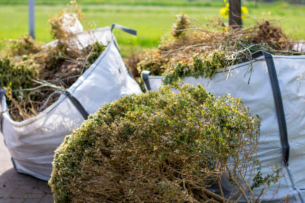 Best Full-Service Junk Removal  in La Plata, MO