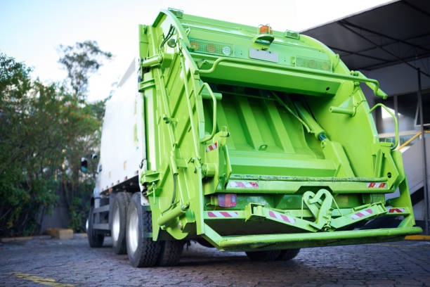 Yard Cleanup Services in La Plata, MO